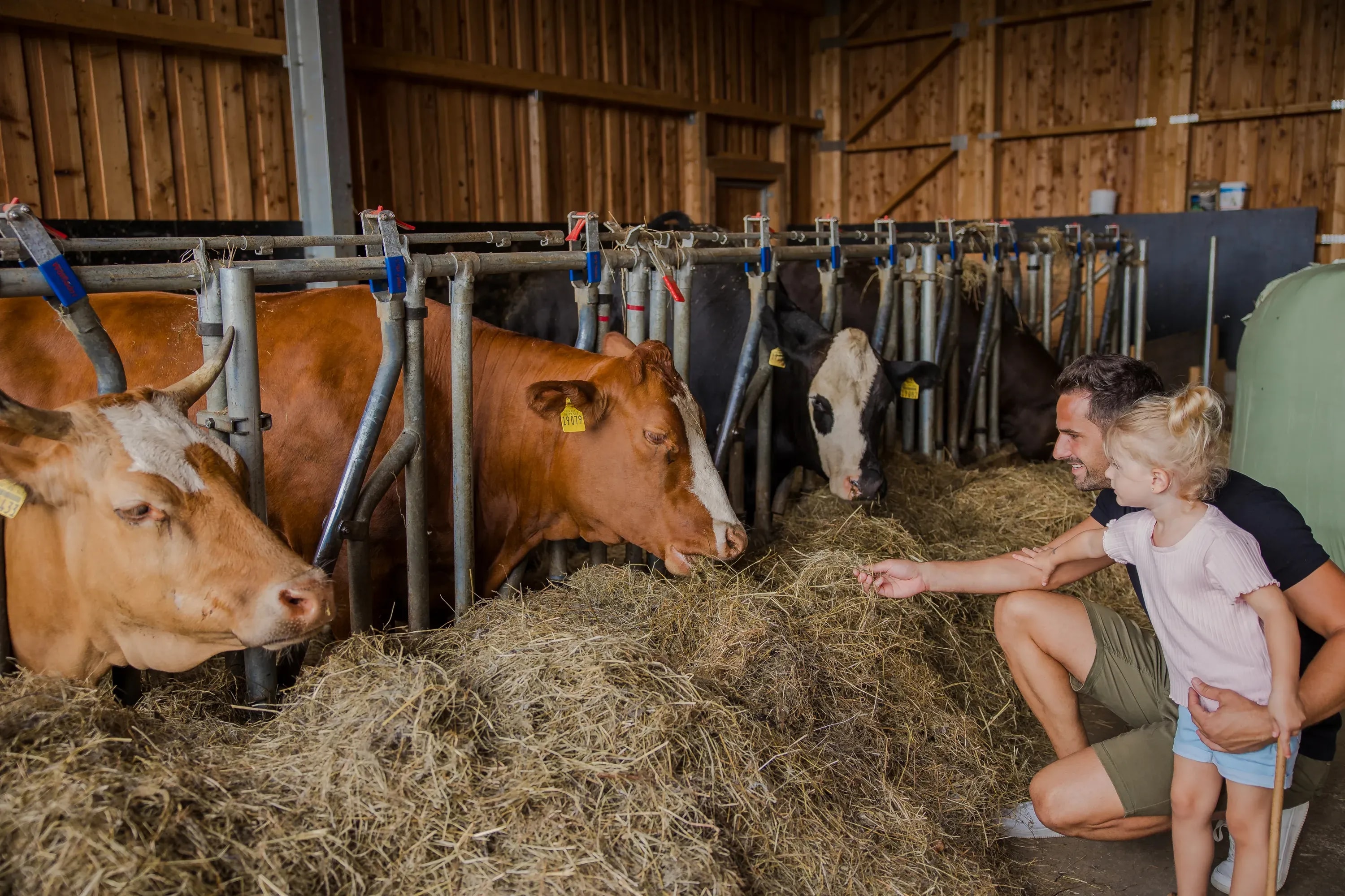 Last Minute Familienhotel im Juni - Bayerischer Wald